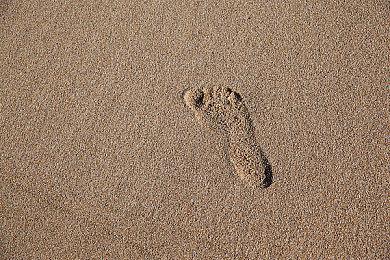 《腐烂国度3》Xbox游戏展示会2024预告片